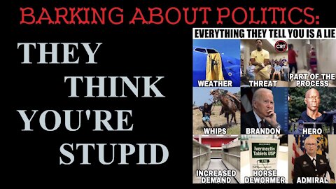 Barking About Politics: They Think You're Stupid