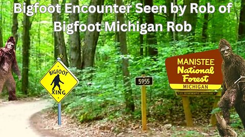 Bigfoot Encounter Seen By Rob of Bigfoot Michigan Rob