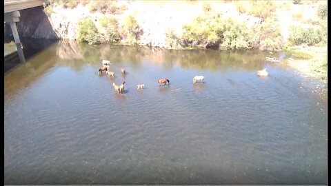 Lakes n Rivers n Dams n Horses n Drone Fun