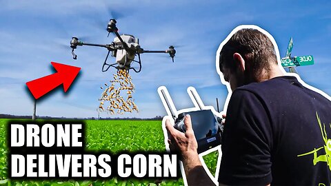 Drone Takes Corn Out & Sprays Small Food Plot