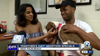 "Pawther's Day" adoption specials at Peggy Adams Animal Rescue League