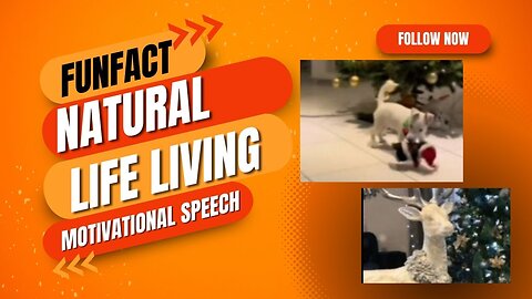 Natural life living -motivational video | motivational speech | Dailyfact24