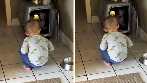 Toddler Hilariously Scolds Pup For Pooping On His Bed