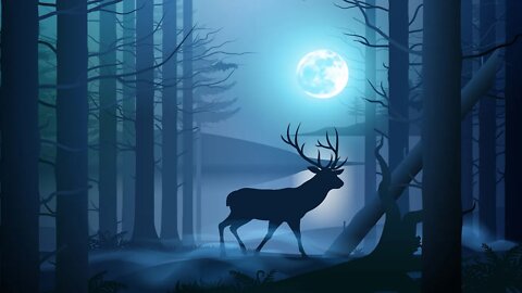 Celtic Fantasy Music – Moonlit Deer Woods | Magical, Enchanted