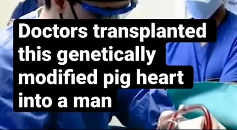 Doctors Transplant Genetically Modified Pig Heart Into Man