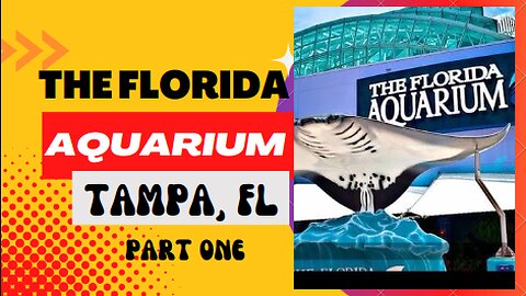 Places to go: The Florida Aquarium (Part One), Tampa, FL