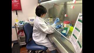 Health Department lab techs extract DNA from mosquitoes as first line of defense against West Nile