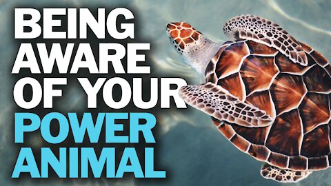 Being Aware of Your Power Animal