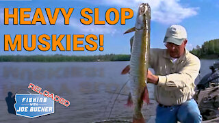 Heavy Slop MUSKIES! | Fishing With Joe Bucher RELOADED