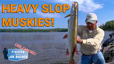 Heavy Slop MUSKIES! | Fishing With Joe Bucher RELOADED
