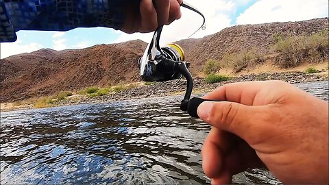TOO MANY FISH IN THIS DESERT! Fishing South Africas longest river! ORANGE RIVER REJECTS PART 2.