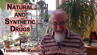 ASMR Book Club: Terence McKenna's “Food of the Gods", Natural and Synthetic Drugs, p.142