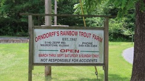 Orndorff's Rainbow Trout Farm Part 5 June 26, 2021