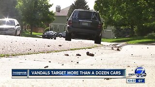 Vandals target several cars in Highlands Ranch overnight