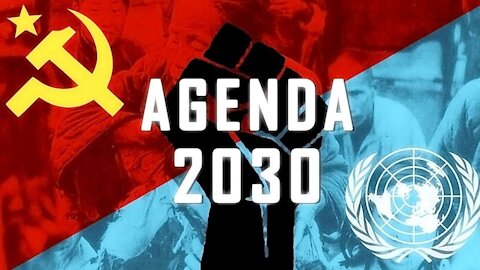AGENDA 2030: IS THIS THE FINAL SOLUTION?
