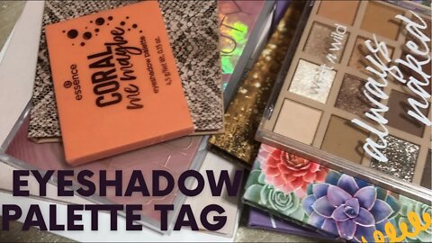 Eyeshadow palette tag (round 2) #eyeshadow
