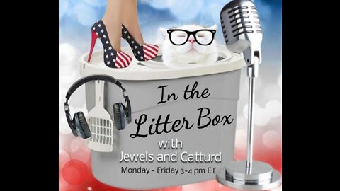 Panic in the White House - In the Litter Box w/ Jewels & Catturd 10/6/2022 - Ep. 183