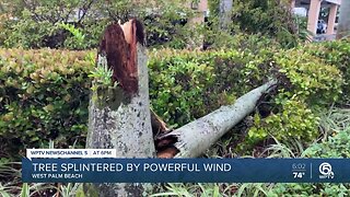 Storms cause damage in South Florida on Sunday