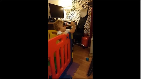 Baby Loves Toy Microphone So Much, He Smacks Himself In The Face With It