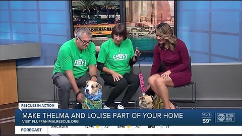 Rescues in Action Feb. 15 | Thelma and Louise
