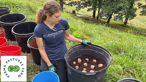 Small Space, High Yield Gardening