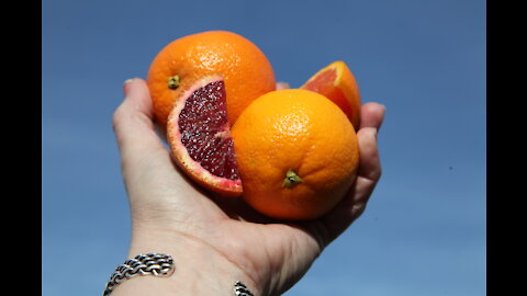 What are Heirloom Navel Oranges?