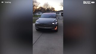 Denne Tesla er klar til jul!