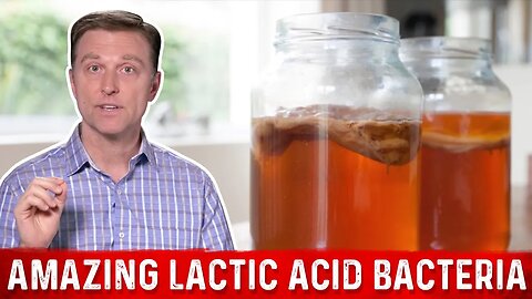 Lactic Acid Bacteria and Fermented Foods: Benefits – Dr.Berg