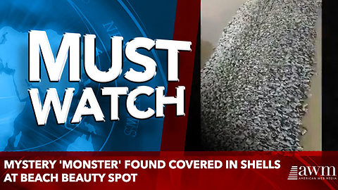 Mystery 'monster' found covered in shells at beach beauty spot