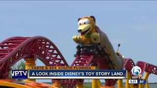 PREVIEW: Disney World's new Toy Story Land opening June 30