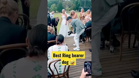 funny dog married ceremony #shorts #short