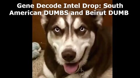 Gene Decode Intel Drop: South American DUMBS and Beirut DUMB