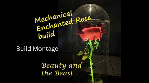 Enchanted Rose montage with Raspberry pi