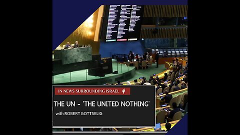 EPISODE #80 - The UN - ‘The United Nothing’