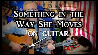 James Taylor's Something in the Way She Moves on Guitar (with my cat)