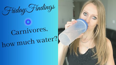 How Much Water for Carnivores | How much water you should drink