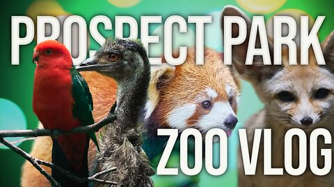 Let's Hang Out at the Prospect Park Zoo – Vlog