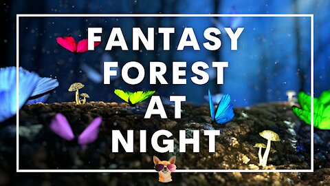 1 Hour Enchanted Fantasy Forest At Night | Ambient Sounds To Relax, Study, And Sleep To | Nature