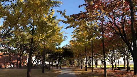 선유도 공원의 가을저녁, Autumn evening of Seonyudo Park, Seoul