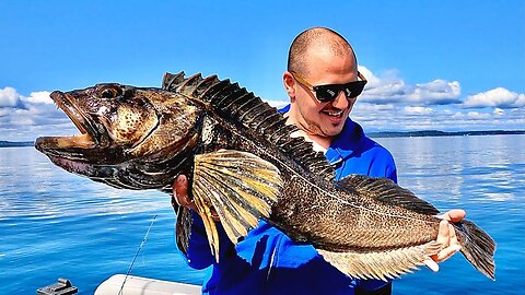 DEEP SEA MONSTER Fishing! SOLO Catch, Cook & Camp!!!