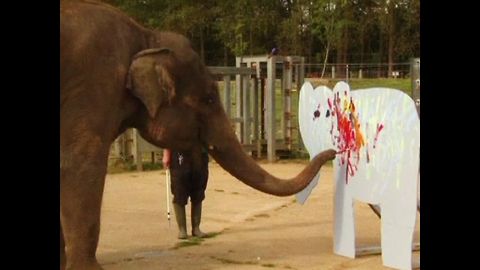 Elephant Artist!