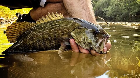 This fishing lure can catch fish in ANY conditions or season!