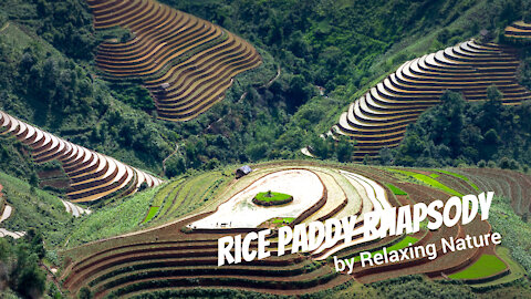 Rice Paddy Rhapsody – 60 minutes of Beautiful, Relaxing Music for Study, Work, Meditation, Sleep