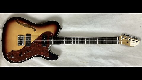 5 string Mandocello Conversion of an Archer Thinline Telecaster (aka TeleCelloBlaster) CelloBlaster