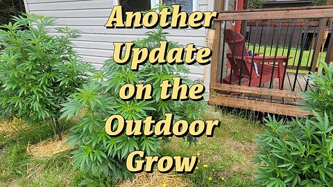 Another Update on the Outdoor Grow #marshydro #TSW2000 #TS1000 #RootedLeaf