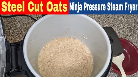 Steel Cut Oats, Ninja Foodi XL Pressure Cooker Steam Fryer Recipe
