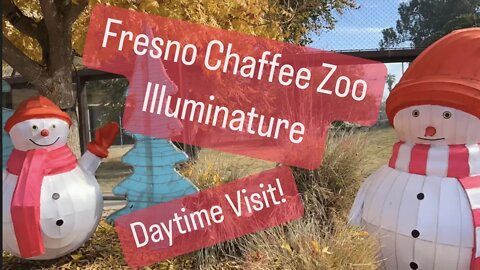 Fresno Chaffee Zoo Illuminature Daytime Visit