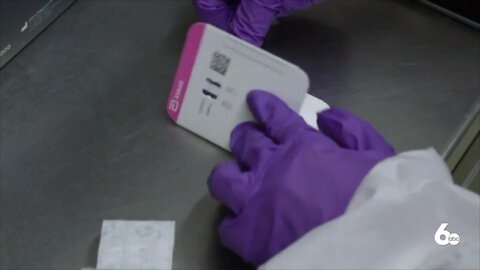 Rapid tests make their way into Idaho, Governor Little says