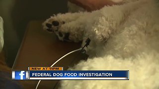 Federal dog food investigation