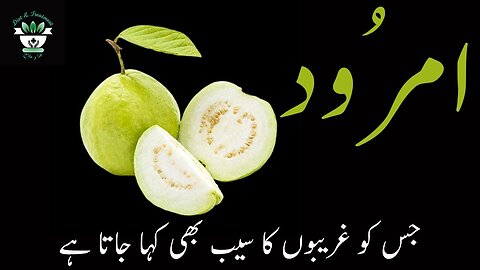 Benefits of guava